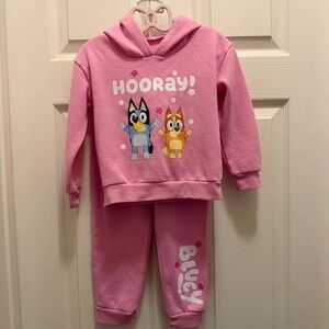 Bluey Bingo Graphic Pink Girl’s Hooded Fleece Pullover Sweatshirt Sweat Suit 4T
